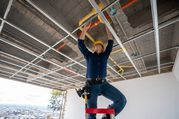 Best Plumbing Inspection Services  in Leonardtown, MD